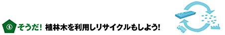 そうだ！植林木を利用しリサイクルもしよう！